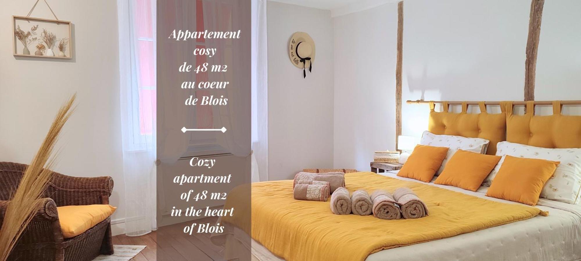 Blois City - Le Petit Louis XII Εξωτερικό φωτογραφία